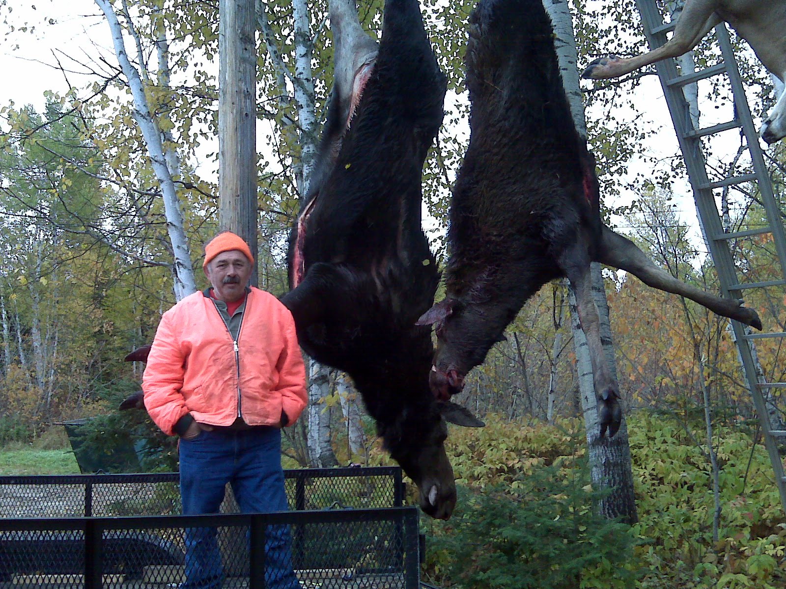 [Louie+gets+his+Moose.jpg]