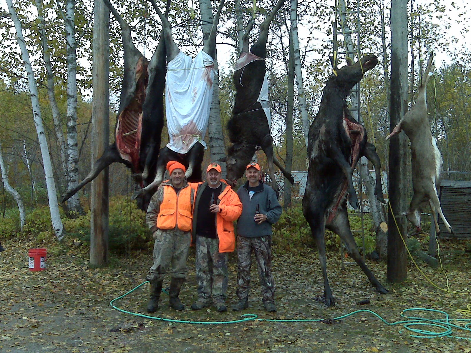 [Bruno's+Gang+Get+their+Moose.jpg]