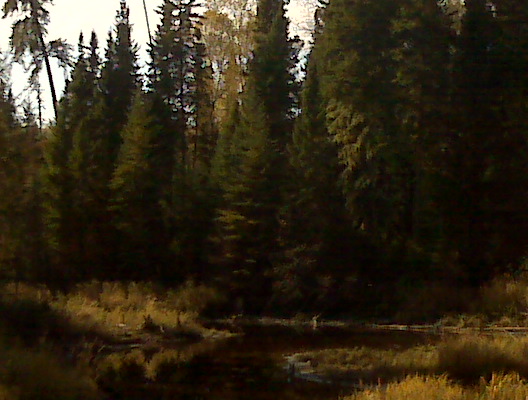 [Medison+Creek+Heaven+Ear+Falls.jpg]