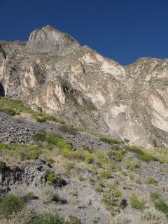 [IMG_2464.JPG]