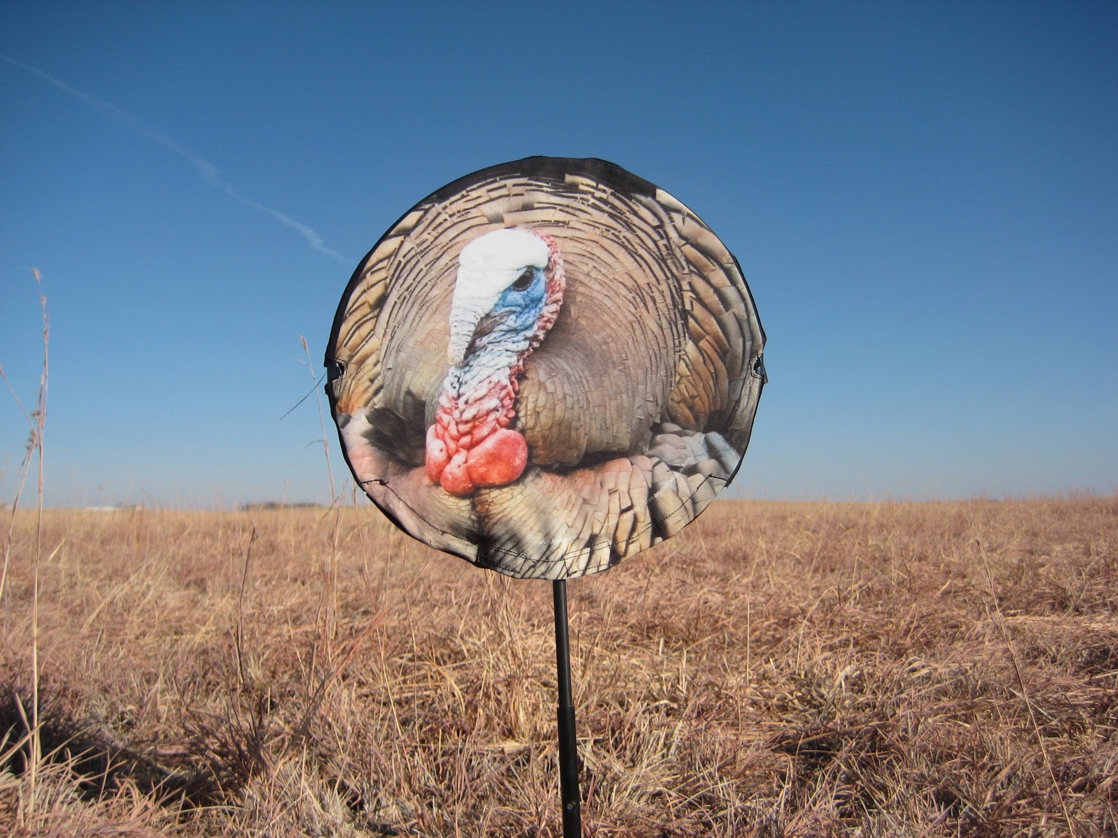 Heads Up Decoy: Heads Up Decoy Tom Turkey Decoy