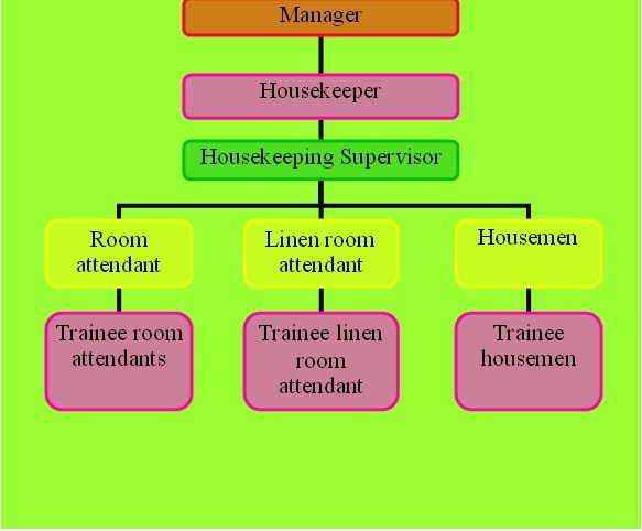 housekeeping organization chart of housekeeping department room division chart