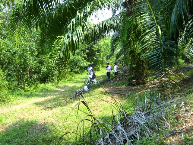 [IMG_4568.JPG]