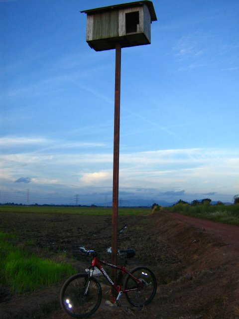 [IMG_8900.JPG]