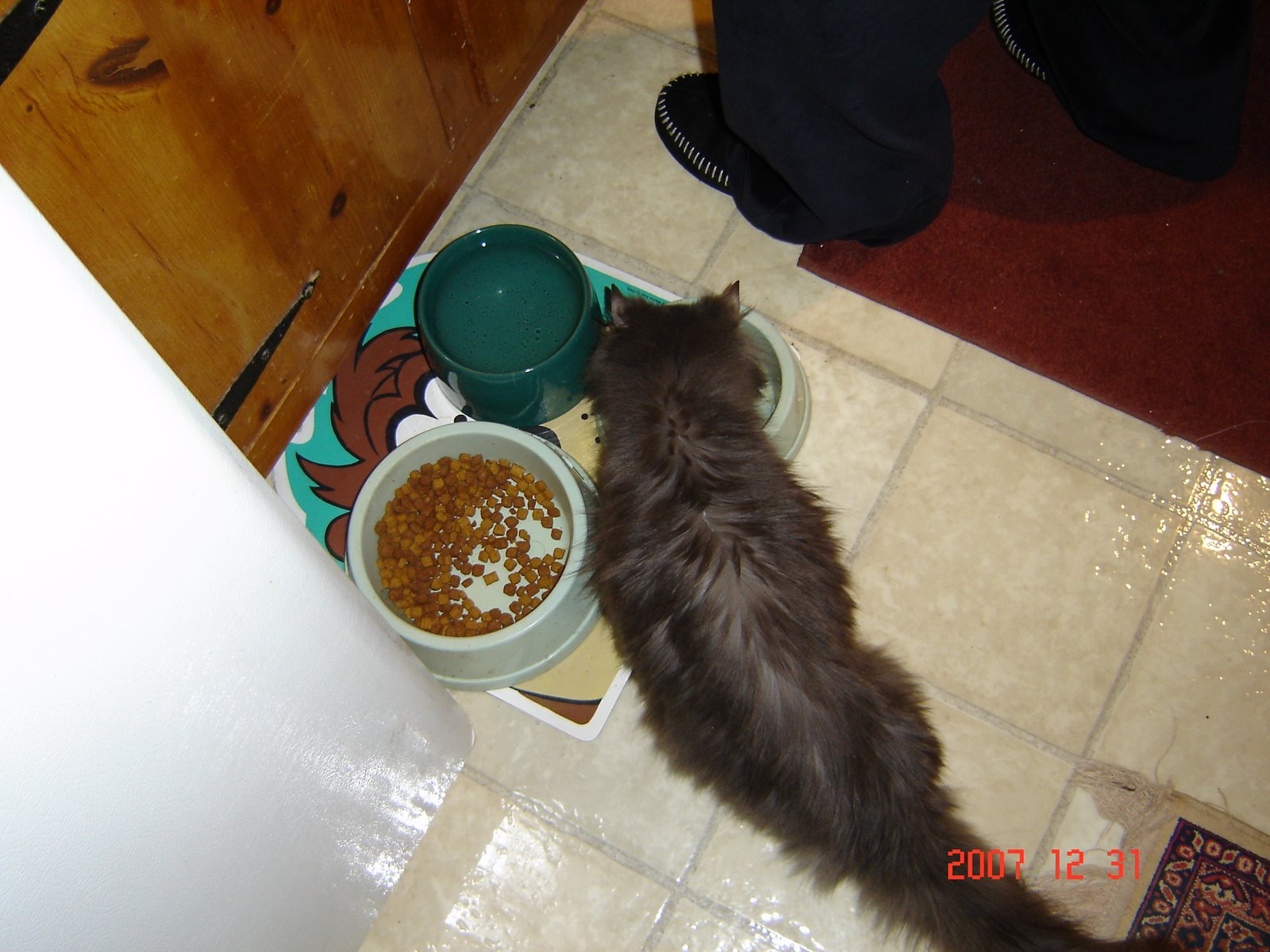 [DSC02546.JPG]