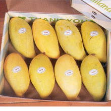 Click The Mangoes