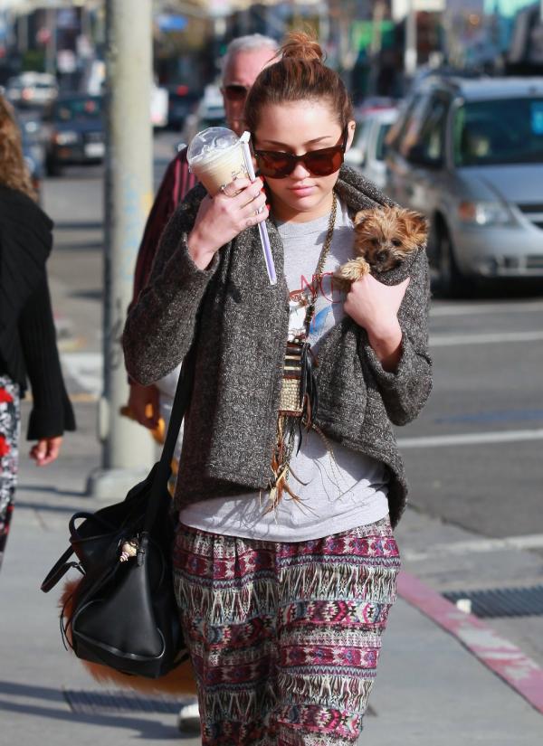 TeenCelebBuzz: Miley Cyrus  Jos...