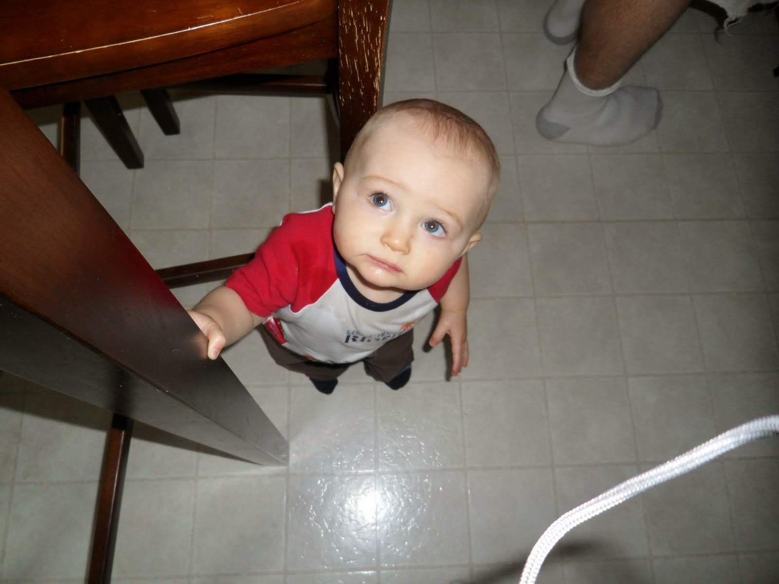 [SAM_0442.JPG]