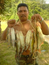 Moh memancing