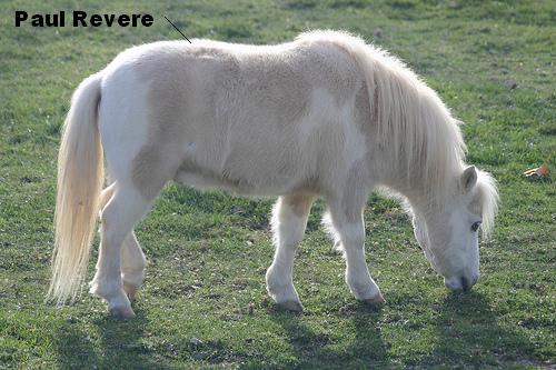 [328721903_ccba39e2a0.jpg]