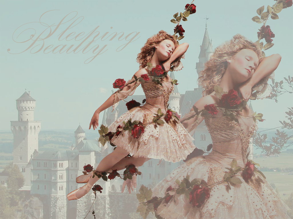 http://3.bp.blogspot.com/_4V-khdjerhs/TOwo4NcBY9I/AAAAAAAAADs/3urtDUtb3xs/s1600/Sleeping-Beauty-Wallpaper-ballet-1158100_1024_768-1.jpg