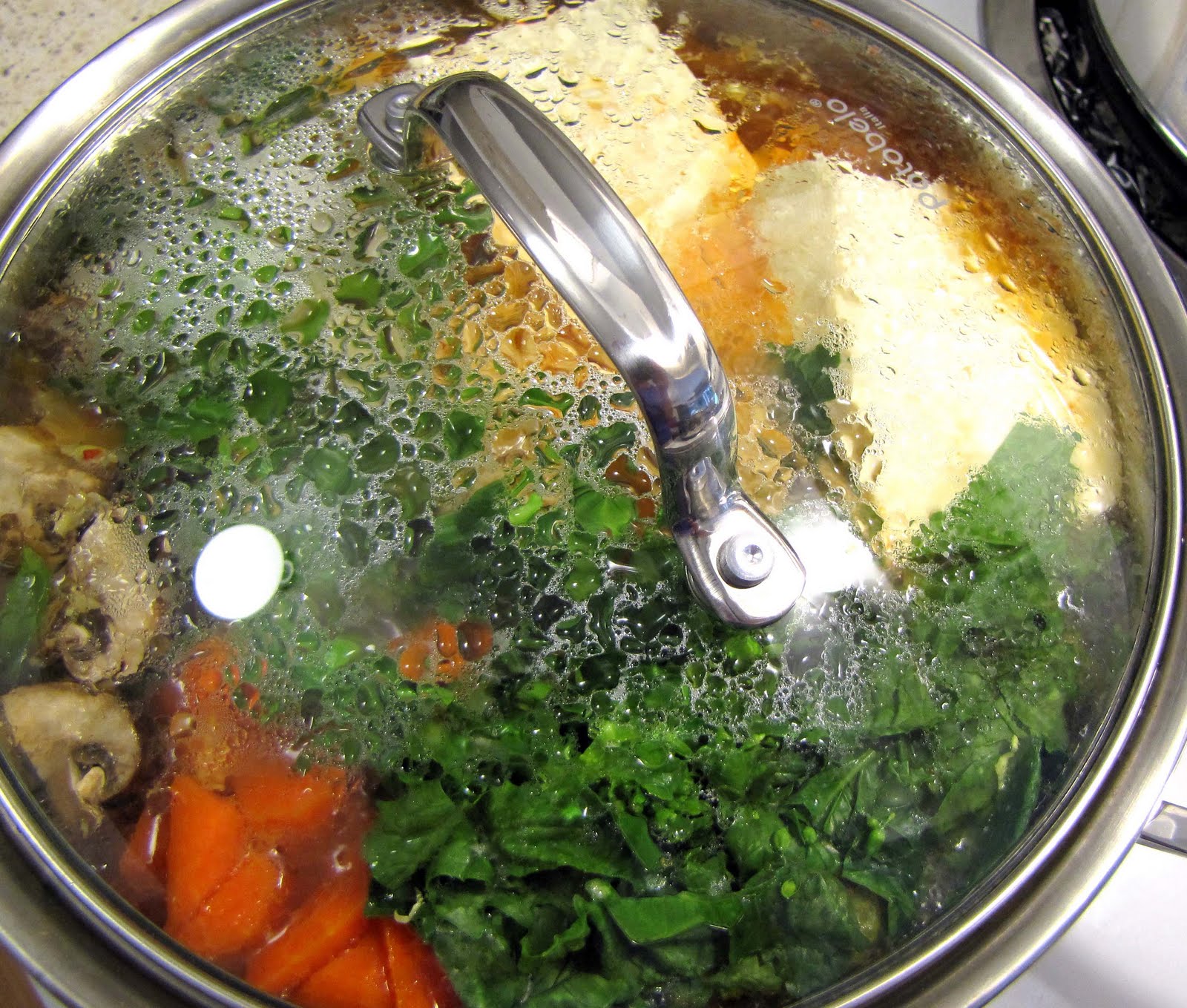 The Airy Way Japanese hot pots 1