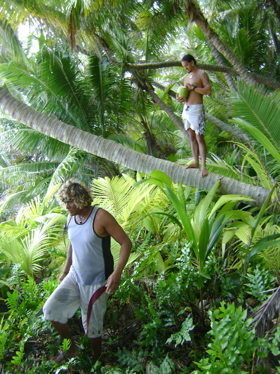 Cutting down coconuts at Henderson Island