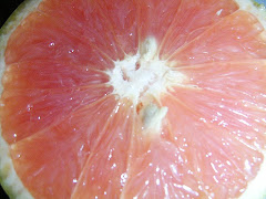 Grapefruit Extracts