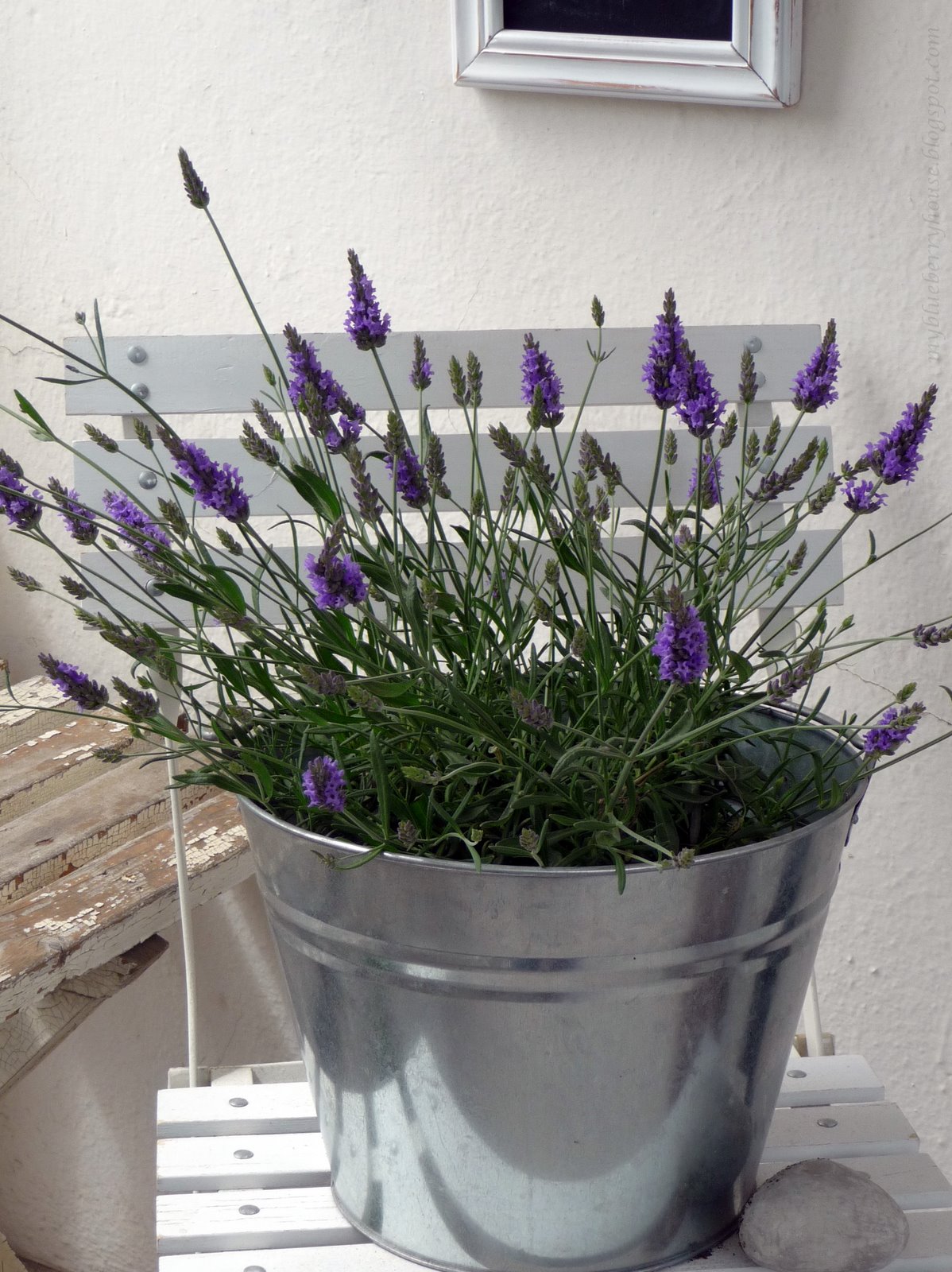 My blueberry house: staket verandan