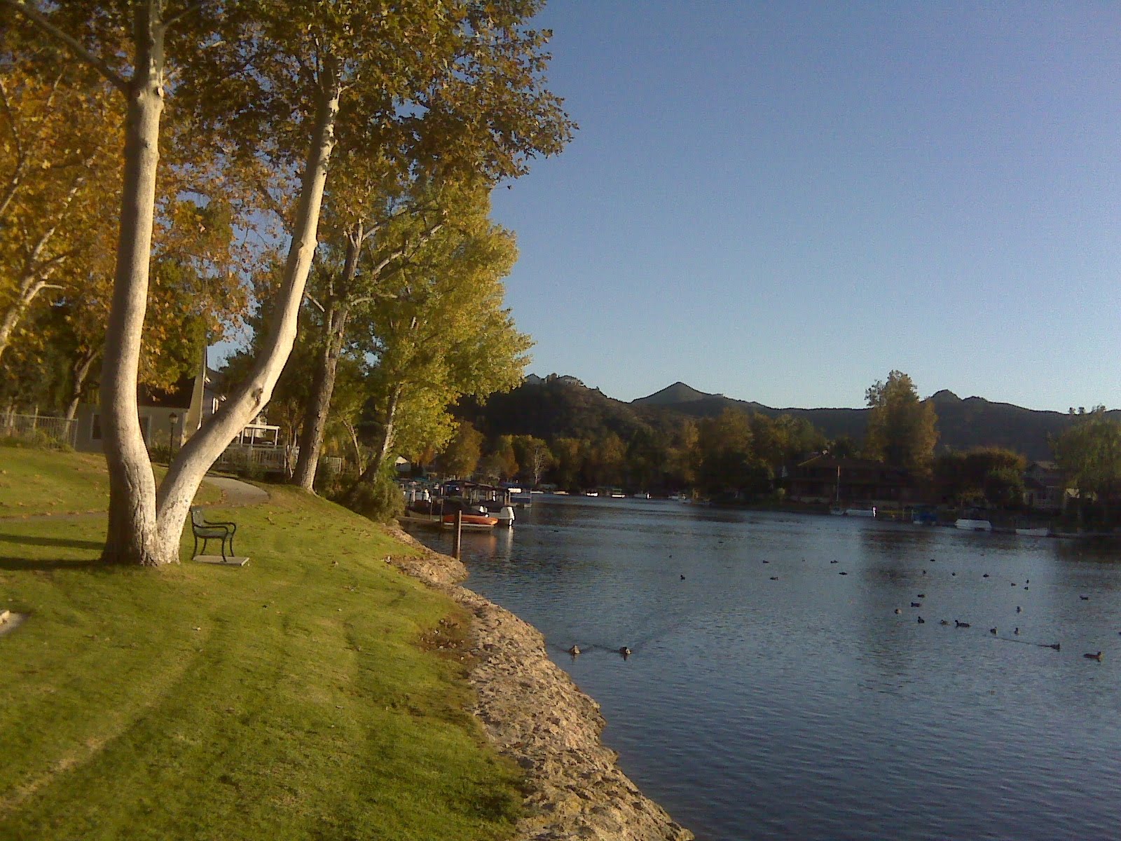 Westlake Impressions Late Fall Afternoon at the Lake