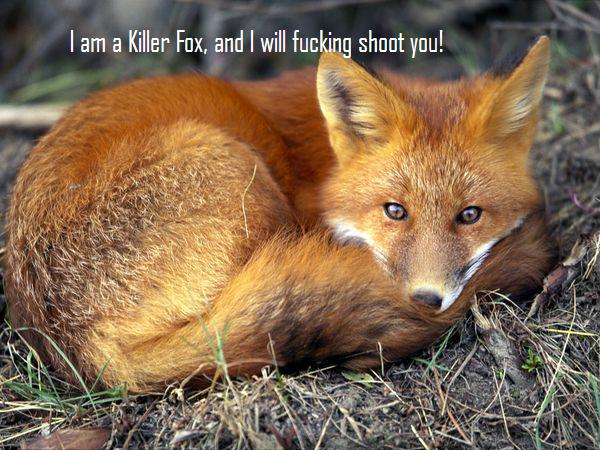 Killer Foxes
