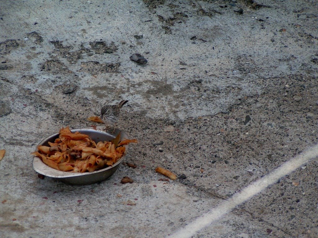 [PICT0135.JPG]