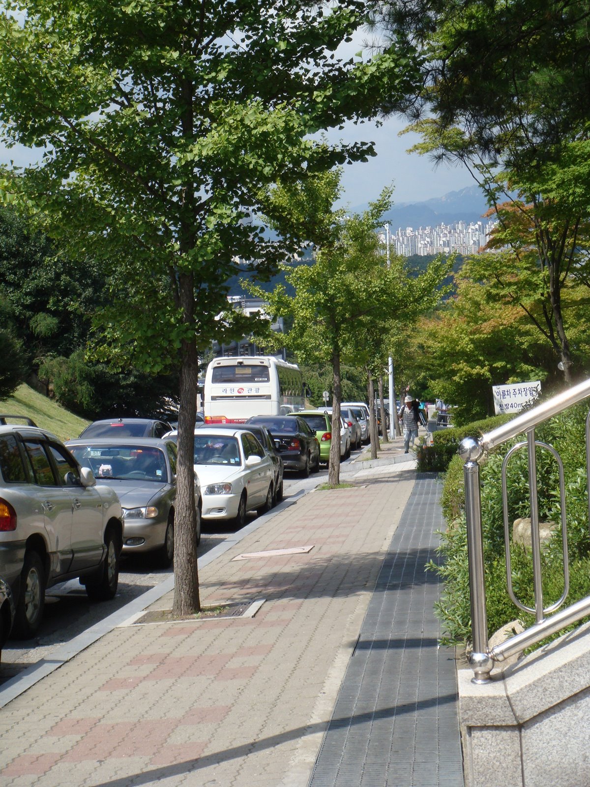 [DSC01689.JPG]