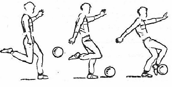 عند تصويب الكرة بوجه القدم الداخلي يتجة مشط القدم الراكلة الى