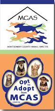 Montgomery County Texas