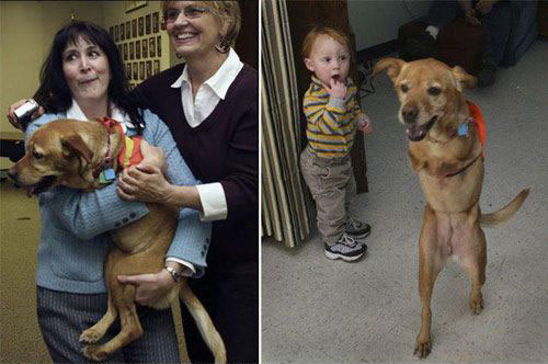 [faith-dog.jpg]