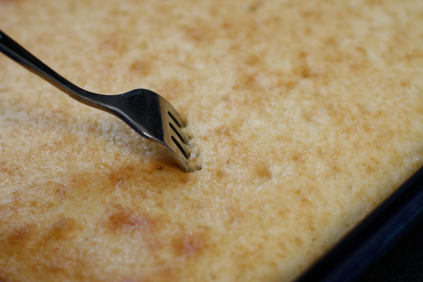 grande rencontre contech