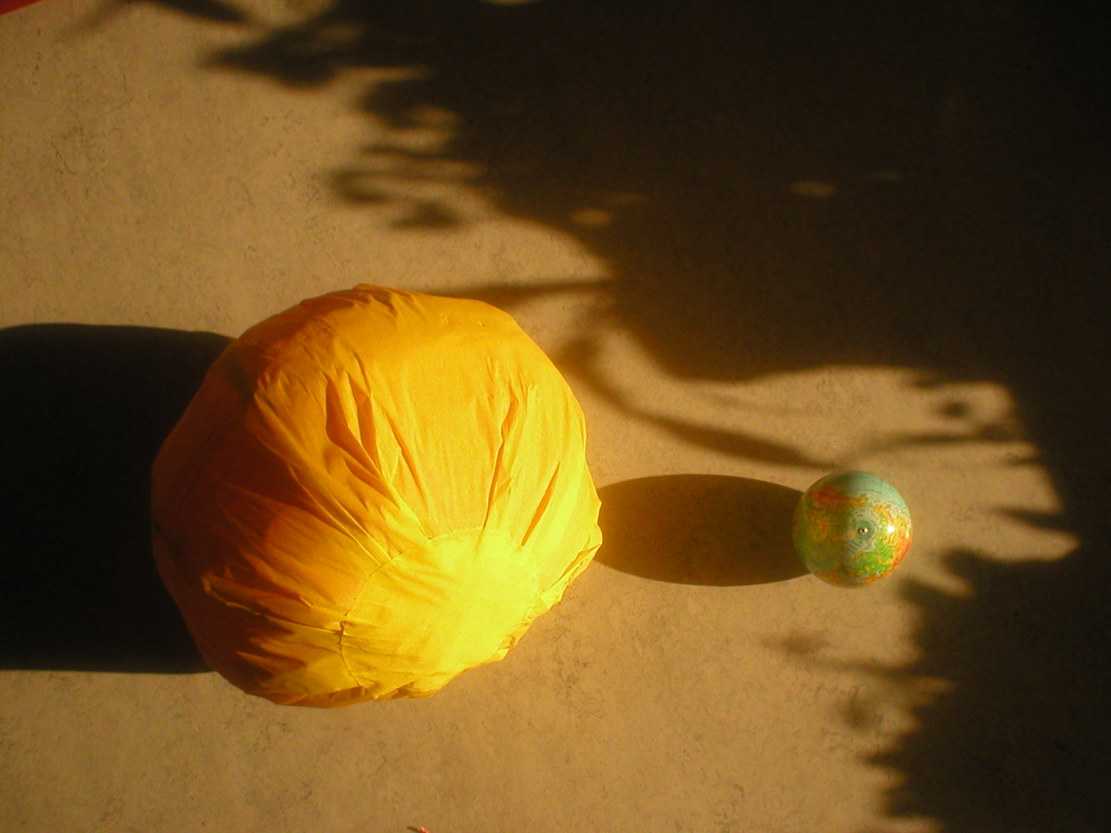 [P1010008.JPG]