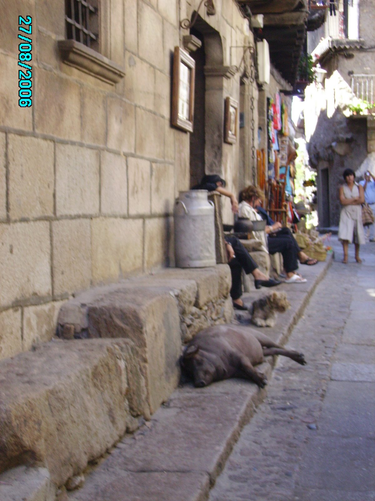[IMGP1261.JPG]
