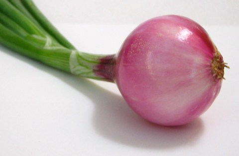 Onions are a rich source of