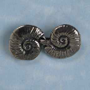 [sc-2xseashell.jpg]
