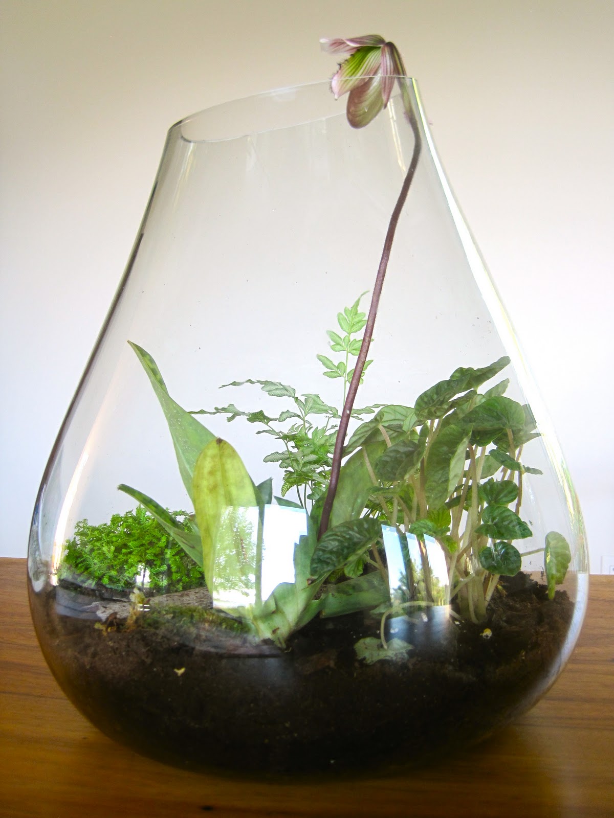 Terrarium Art
