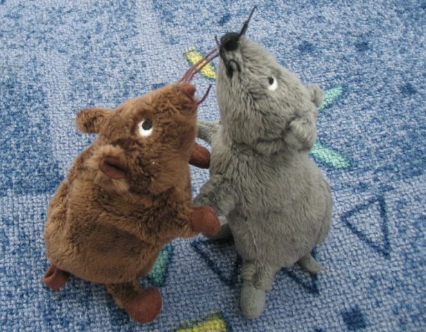 [IMG_0755.JPG]