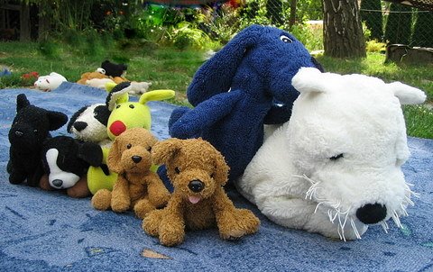 [IMG_1213.jpg]