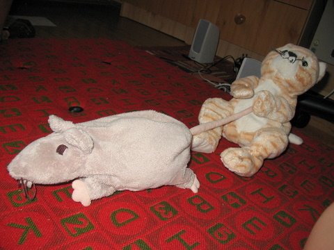 [IMG_0016.jpg]