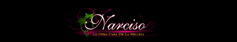 NARCISO - Sitio oficial de la película.