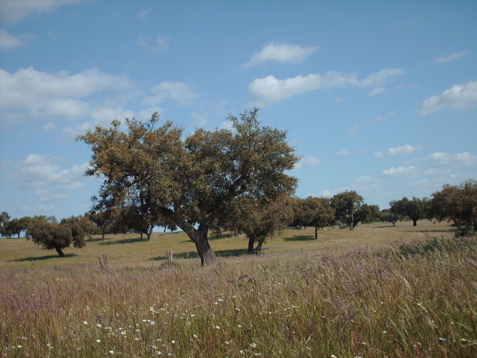[HPIM0312.JPG]