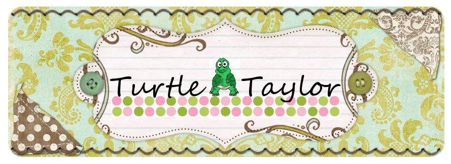 Turtle Taylor