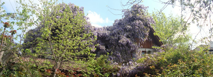 Una Panoramica de Belleza...