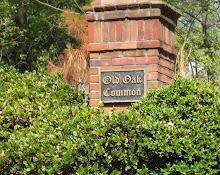 Old Oak Common-Roswell GA Neighborhood