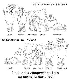 external image La+diff%C3%A9rence+d%27%C3%A2ge+au+travail.gif