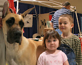 This Great Dane towers over the kids