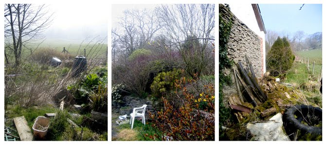 Green Valley Garden February 2010