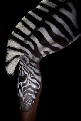 Zebra Legs For Art Of Body Painting