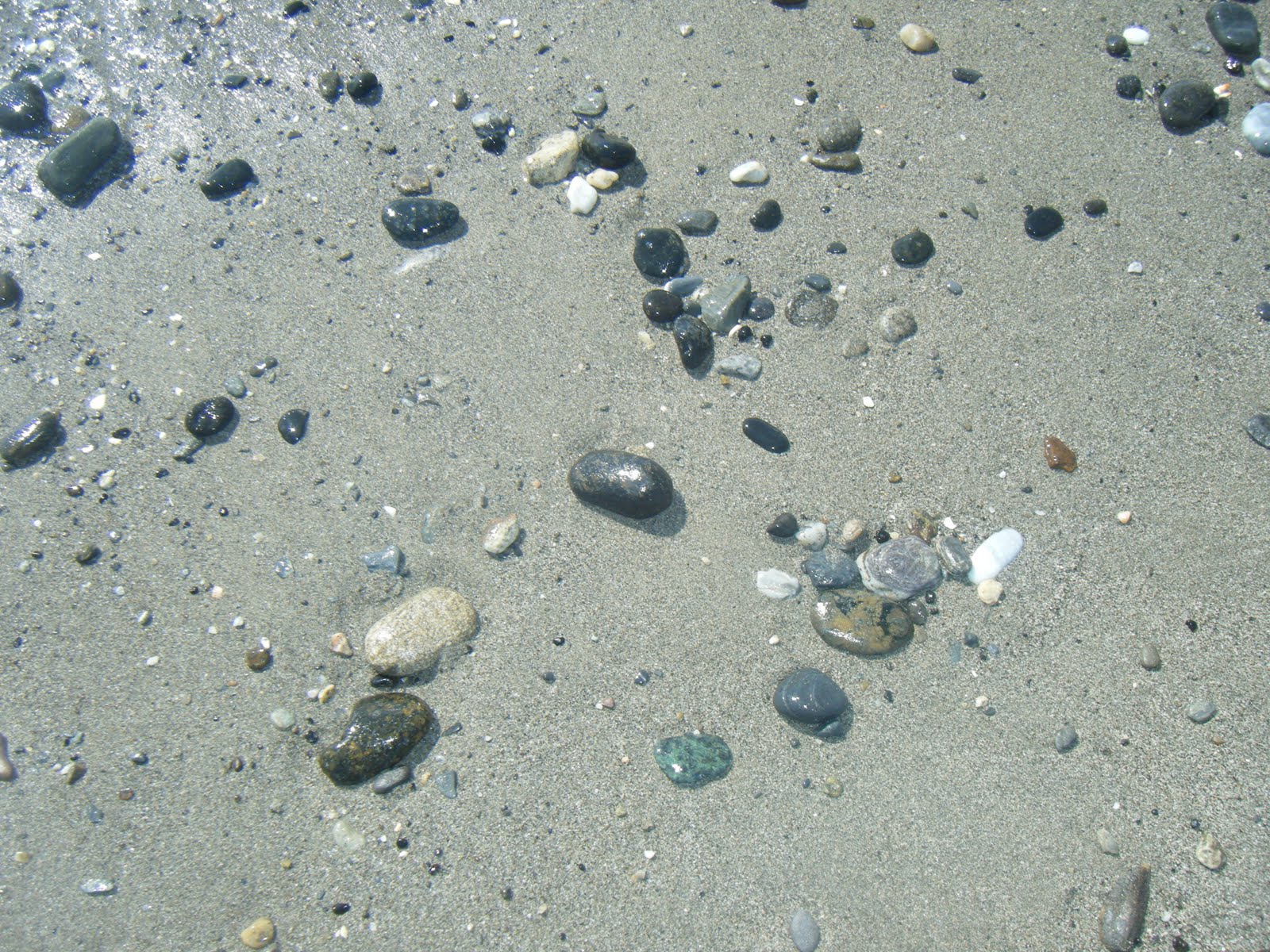 [DSCF1153.JPG]