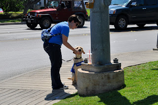 Bob and I standing by a crosswalk button, I'm giving him the treat for finding it.