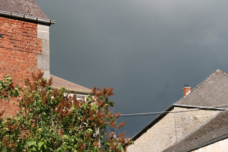 la photo du 20 juin 2010 (752)