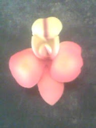 bunga anggrek