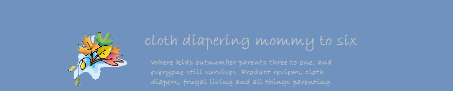 Cloth Diapering Mommy to Six