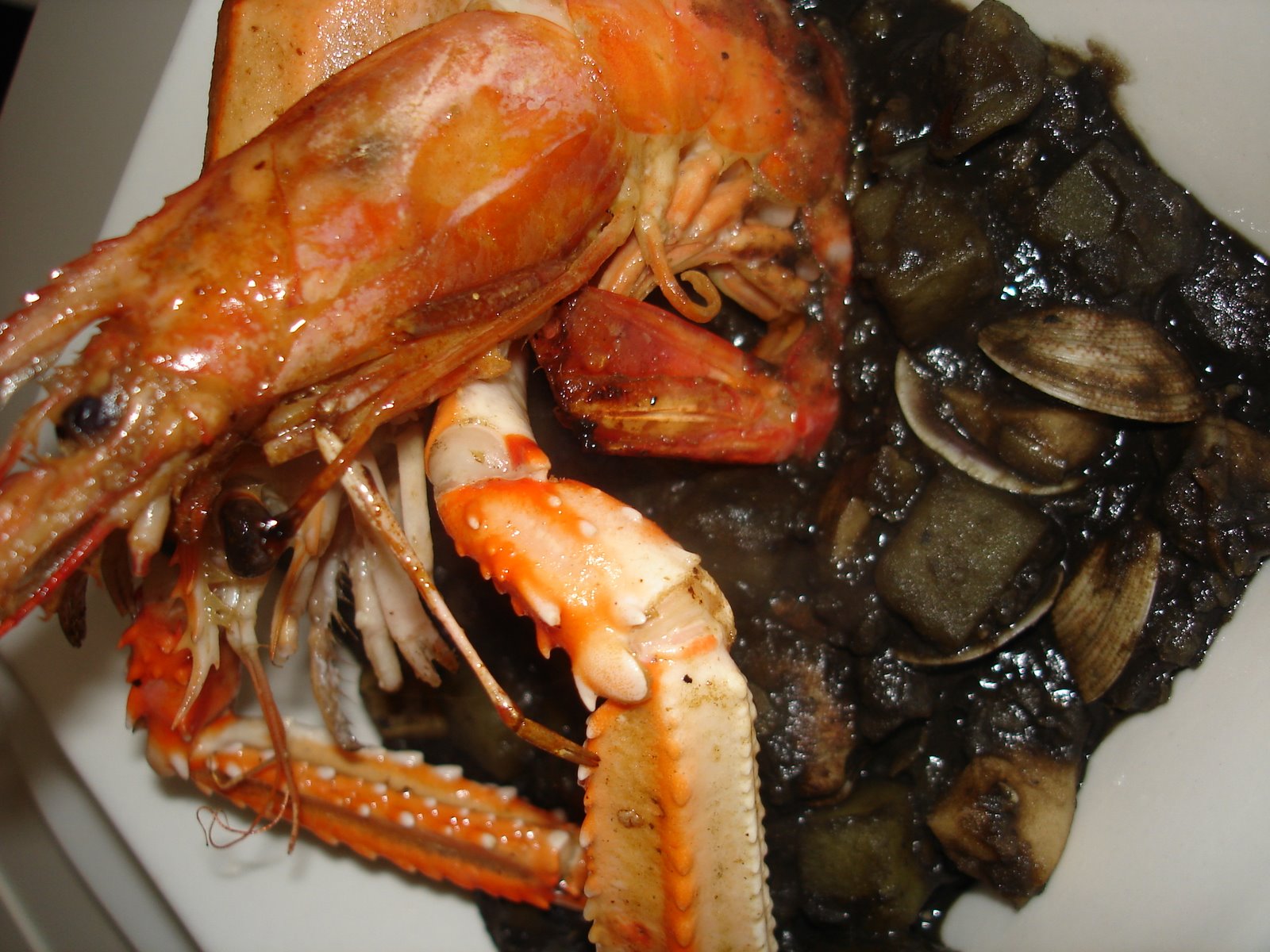 [DSC09526.JPG]